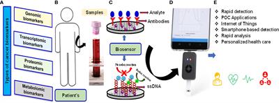 Editorial: Multi-omics approaches in cancer research with applications in tumour prognosis, metastasis and biosensor based diagnosis of biomarkers